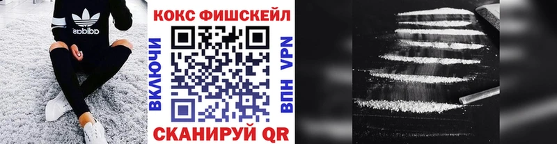 COCAIN Fish Scale  Купить  Певек 