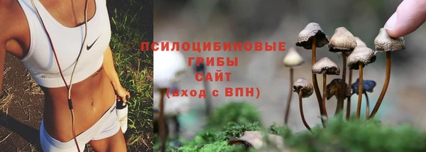 гидра Бородино