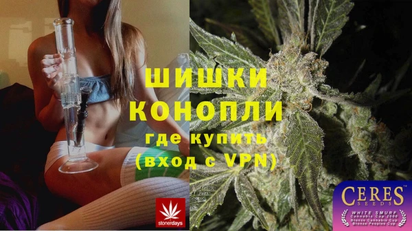 гидра Бородино