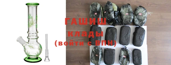 гидра Бородино